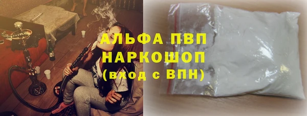 стаф Надым