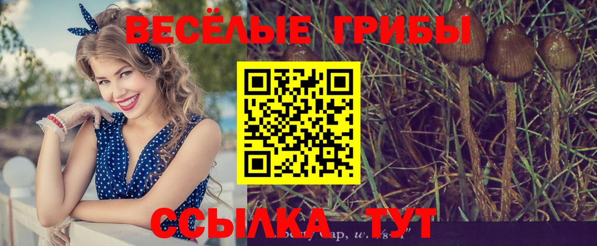 Галлюциногенные грибы ЛСД  купить наркотик  Бор  Вход с VPN 