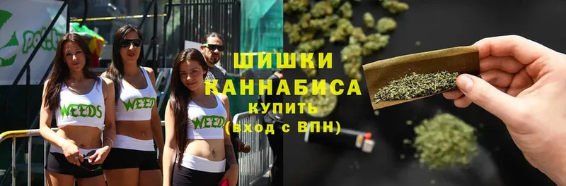 Марихуана Ganja  закладка  Бор 